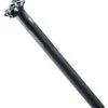 RITCHEY WCS 1-Bolt Seatpost 0mm Offset Blatte